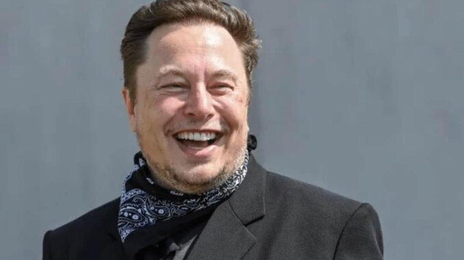 Elon Musk Calls Dogecoin Co-Creator Jackson Palmer a “Tool”
